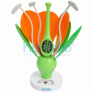 Typical Flower Model - Botanical - Hansco